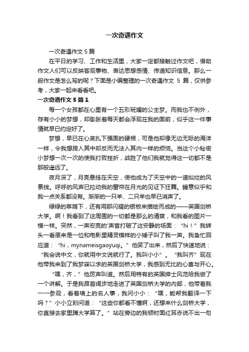 一次奇遇作文