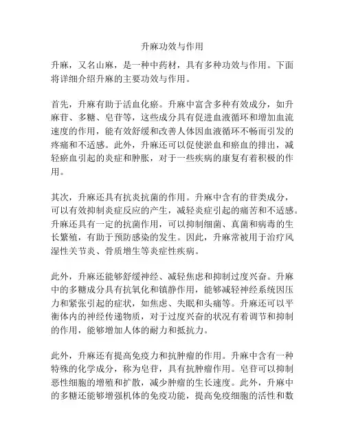 升麻功效与作用