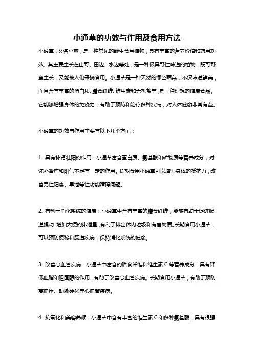 小通草的功效与作用及食用方法
