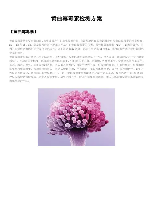 黄曲霉毒素检测方案