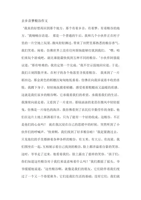 去乡音梦粮谷作文