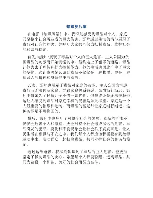 禁毒观后感800字高中作文