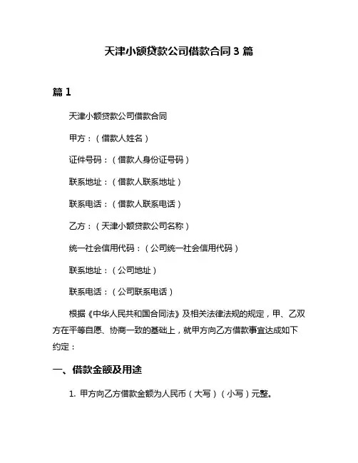 天津小额贷款公司借款合同3篇