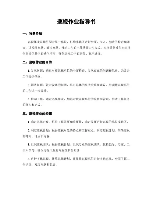 巡视作业指导书