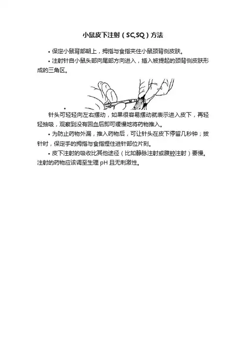 小鼠皮下注射（SC,SQ）方法