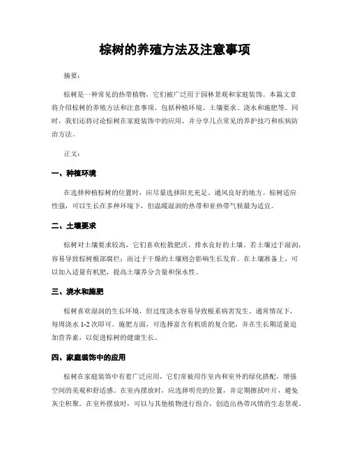 棕树的养殖方法及注意事项