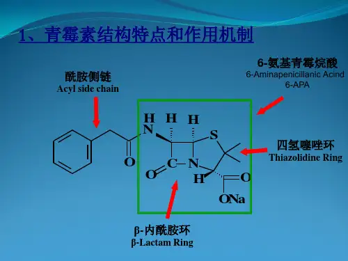 青霉素的结构改造