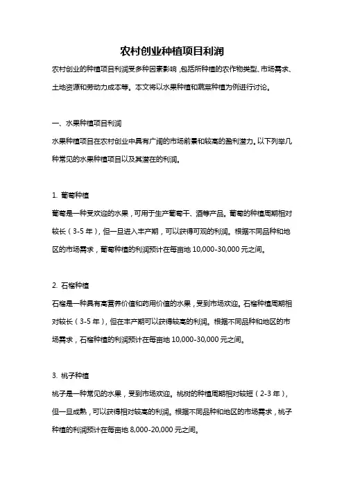 农村创业种植项目利润