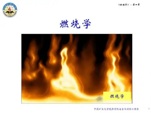 燃烧学—第4章3
