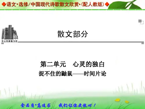 捉不住的鼬鼠——时间片论课件