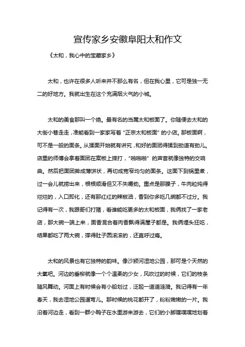宣传家乡安徽阜阳太和作文