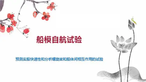 船模自航试验