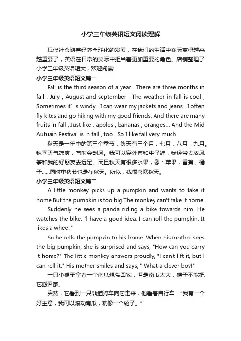 小学三年级英语短文阅读理解