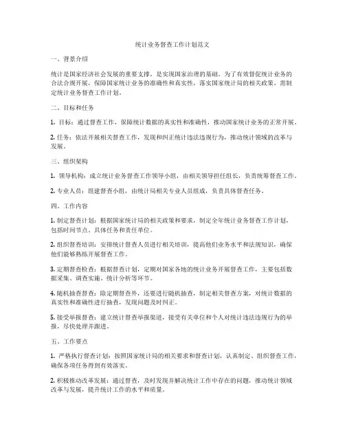 统计业务督查工作计划范文