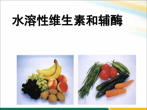 水溶性维生素和辅酶