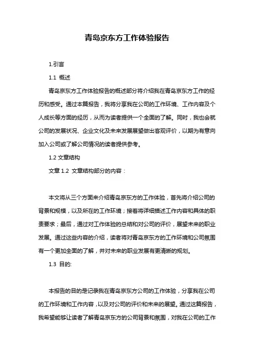 青岛京东方工作体验报告