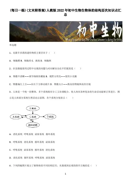 (文末附答案)人教版2022年初中生物生物体的结构层次知识点汇总
