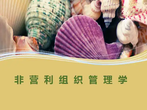 第1章 导论《非营利组织管理学》PPT课件