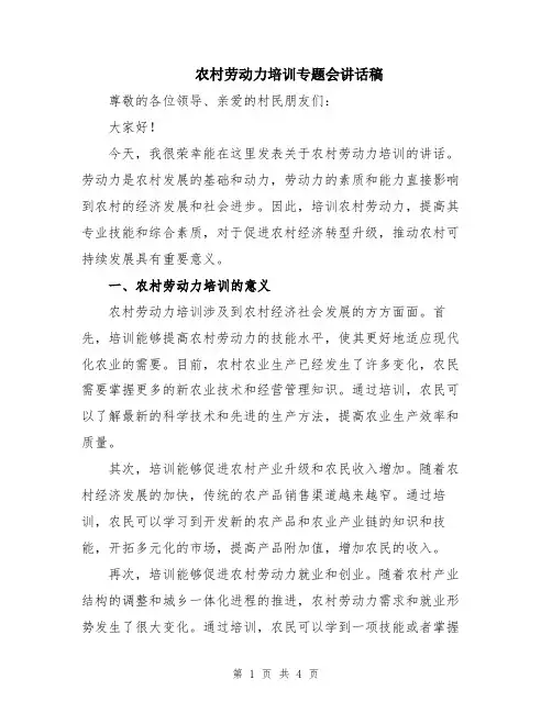 农村劳动力培训专题会讲话稿