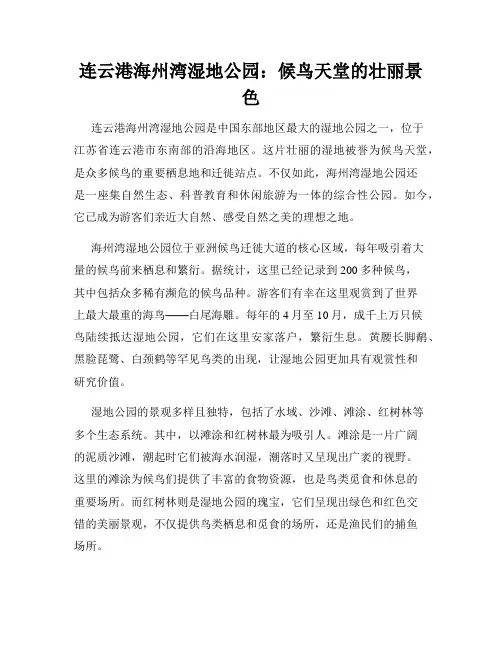 连云港海州湾湿地公园：候鸟天堂的壮丽景色