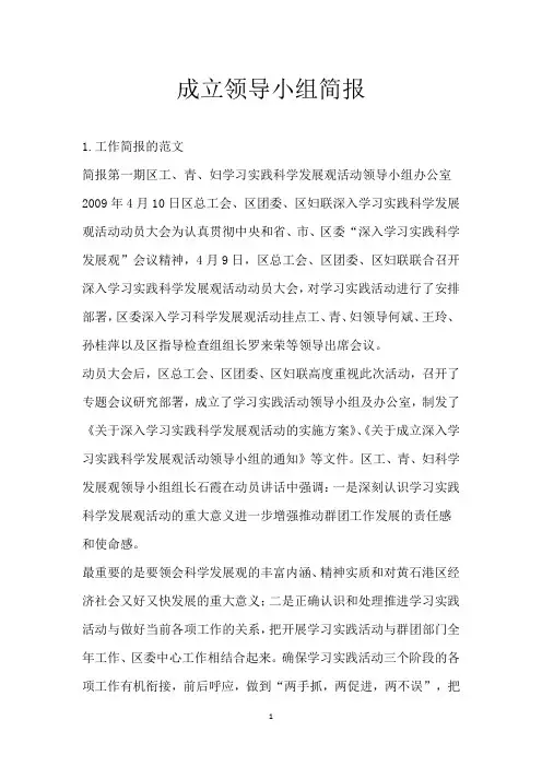 成立领导小组简报