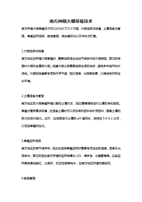 南方种植大棚草莓技术