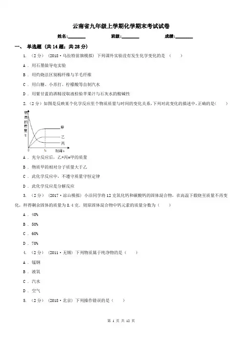 云南省九年级上学期化学期末考试试卷