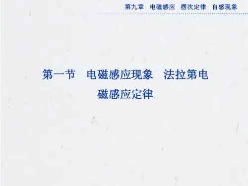 高考物理一轮总复习(鲁科版)课件：第九章第一节