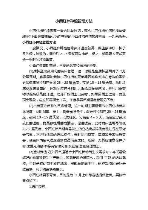 小西红柿种植管理方法
