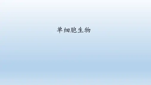 鲁科版(五四学制)六年级生物上册：.2 单细胞生物  课件