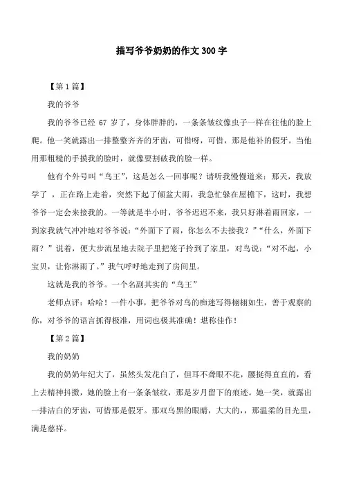 描写爷爷奶奶的作文300字