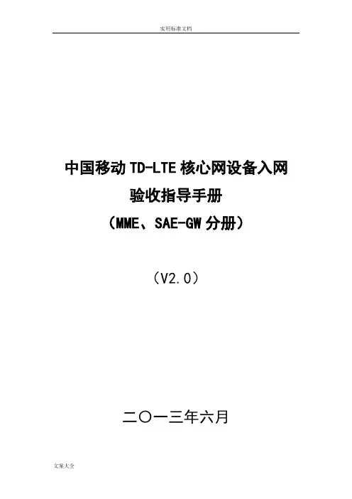 中国移动TD-LTE核心网设备入网验收指导总汇编(MME、SAE-GW分册)v3.0