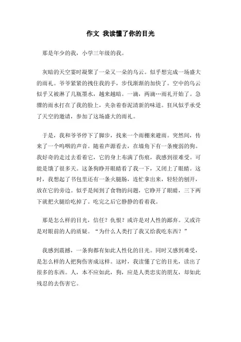 作文 我读懂了你的目光