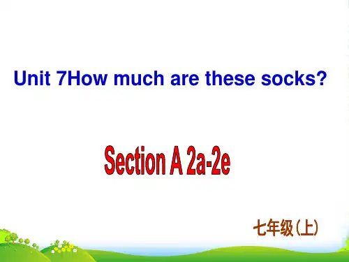 人教目标七年级上册 Unit 7 Section A 2a2e(共33张PPT)