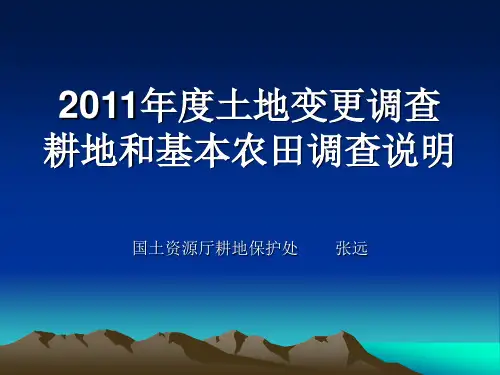 2011年度土地变更调查耕地和基本农田调查说明