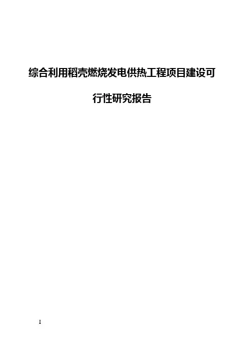 综合利用稻壳燃烧发电供热工程项目建设可行性研究报告