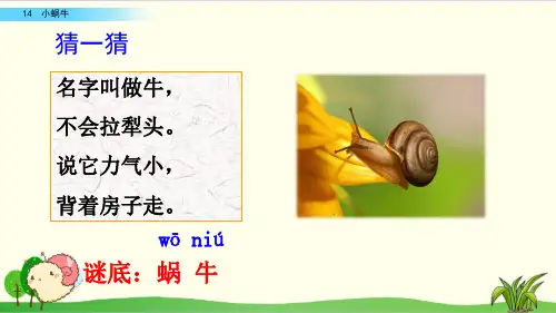 部编教材一年级上册语文《小蜗牛》精美PPT