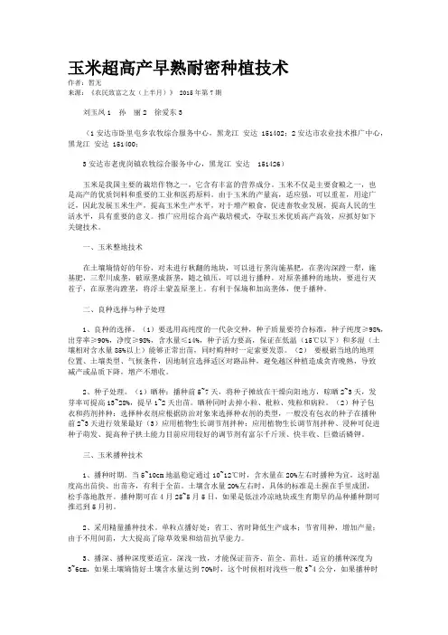 玉米超高产早熟耐密种植技术