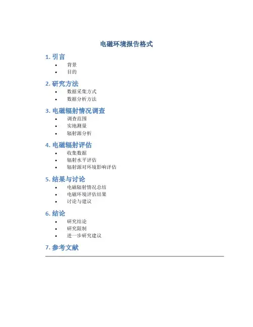 电磁环境报告格式