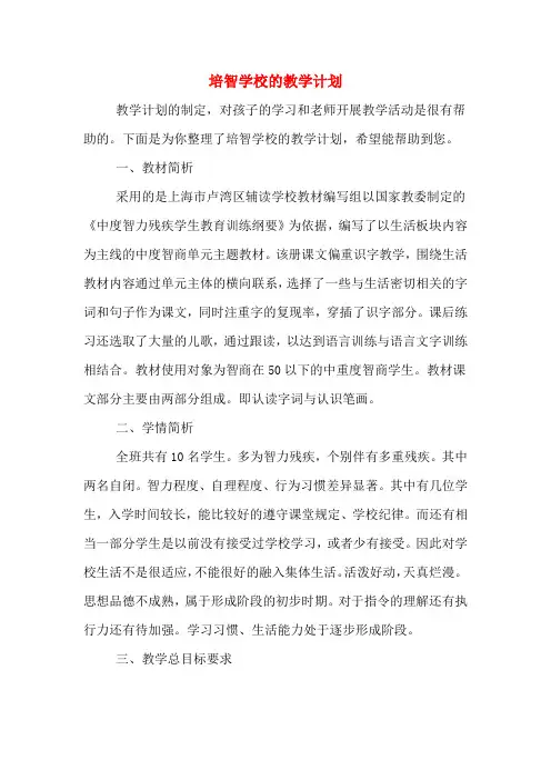 2020年培智学校的教学计划