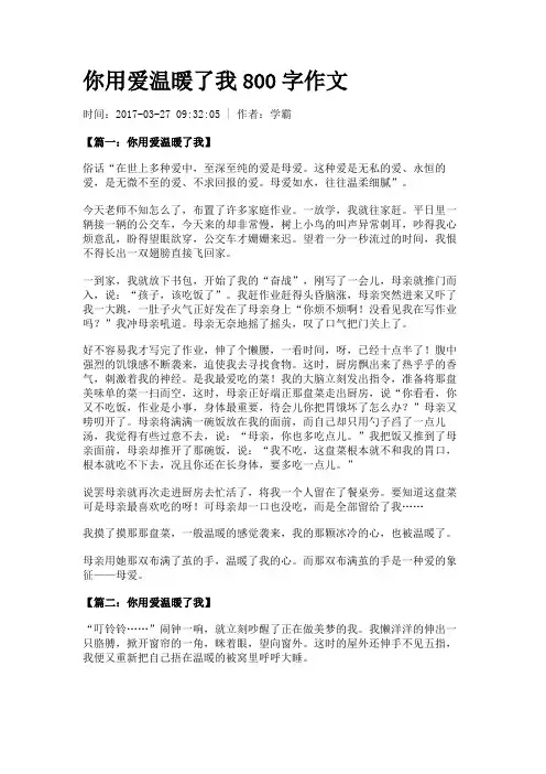 你用爱温暖了我800字作文
