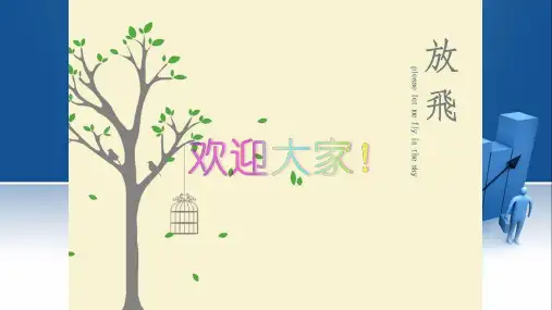 标准化 PPT