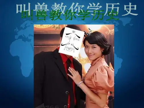 维也纳会议精彩课件