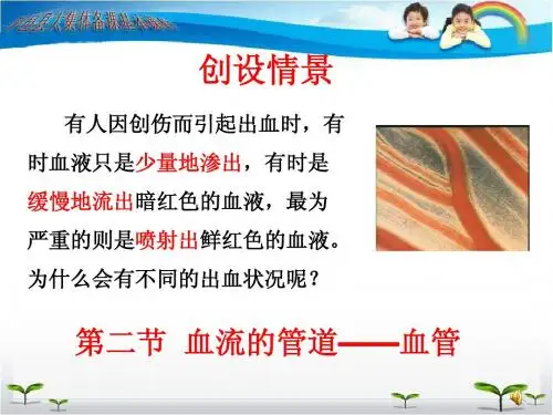 第二节血流的管道-血管