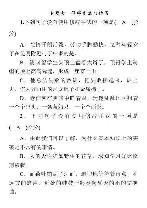 中考语文复习专题七 修辞手法与仿写 (2)