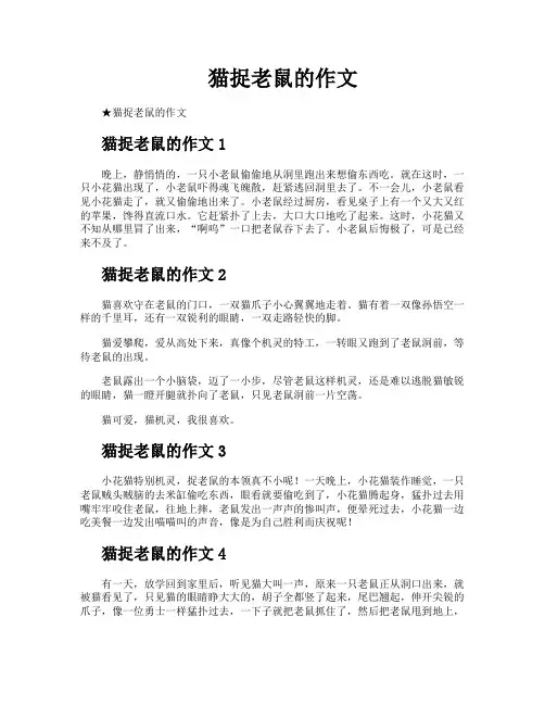 猫捉老鼠的作文