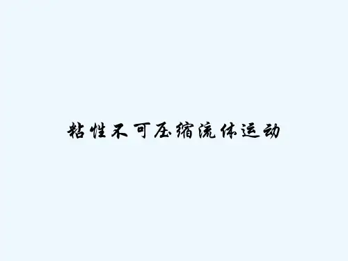 粘性不可压缩流体运动-PPT