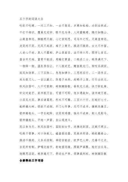 五个字的词语大全