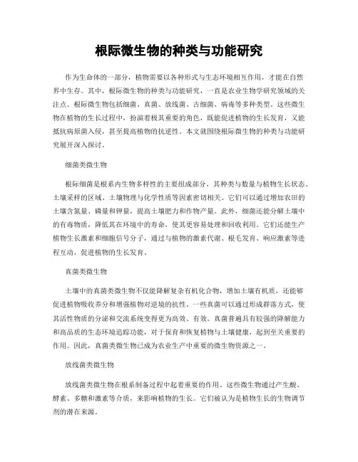 根际微生物的种类与功能研究