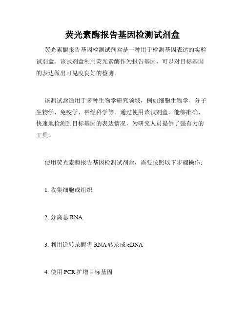 荧光素酶报告基因检测试剂盒